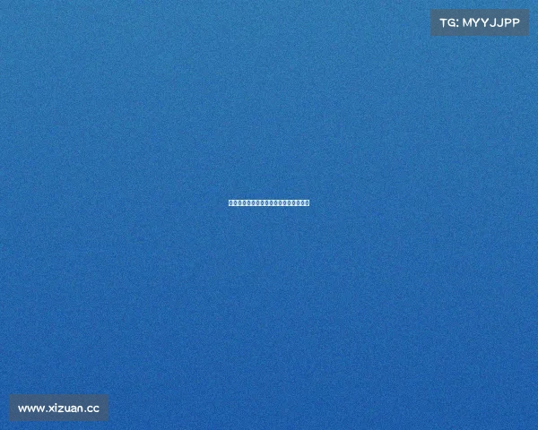 上海足球赛事绿茵场上激情对决精彩无限