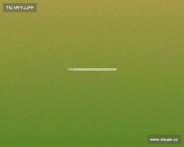 CBA赛事级别全方位解析中国男子篮球职业联赛竞技高度与发展前景